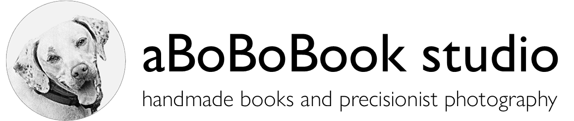 aBoBoBook