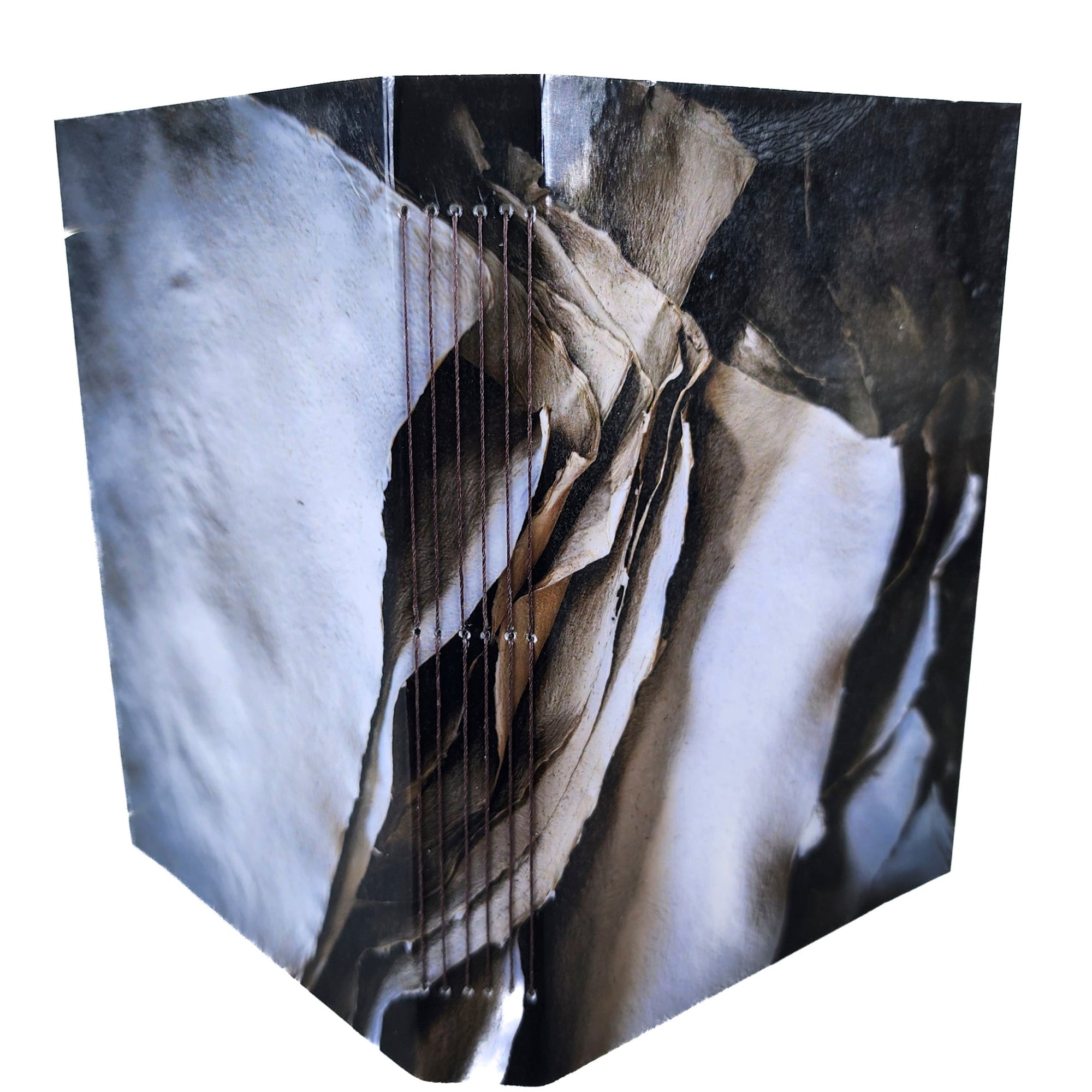 Book cover is a photo by Rick Graves of a stack of dried, curling handmade paper.