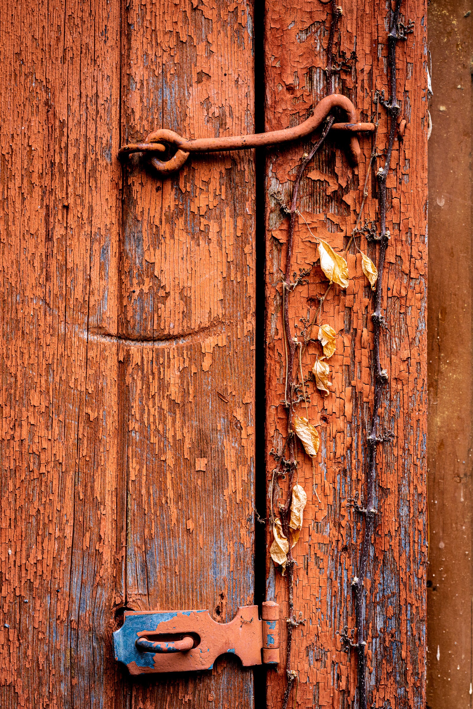 Orange rustic wooden door with a metal latch and hook-and-eye; photographer Rick Graves