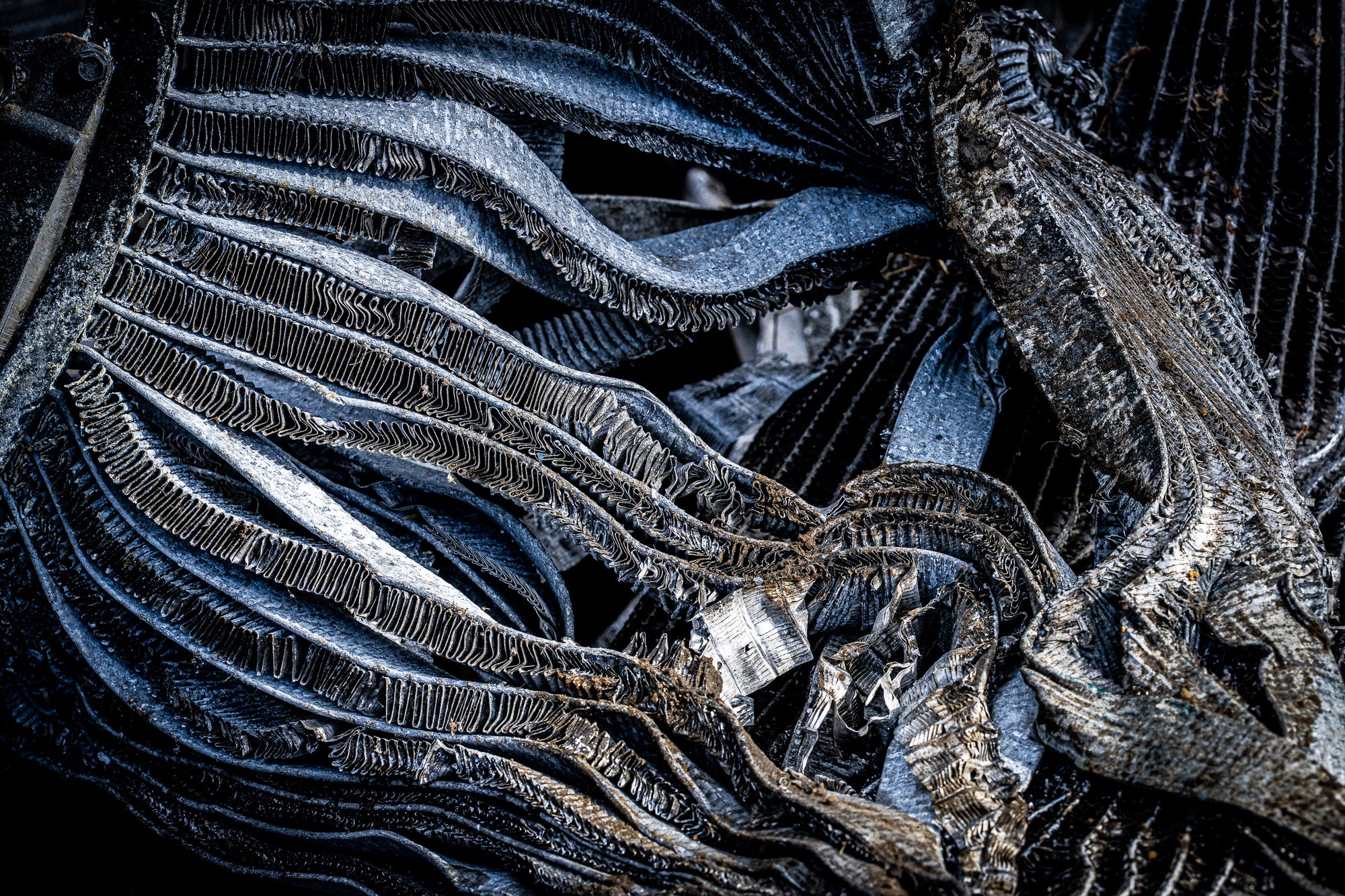 Close-up of twisted cooling fins, found in a junkyard, that look like the arms of a silver octopus; photographer Rick Graves