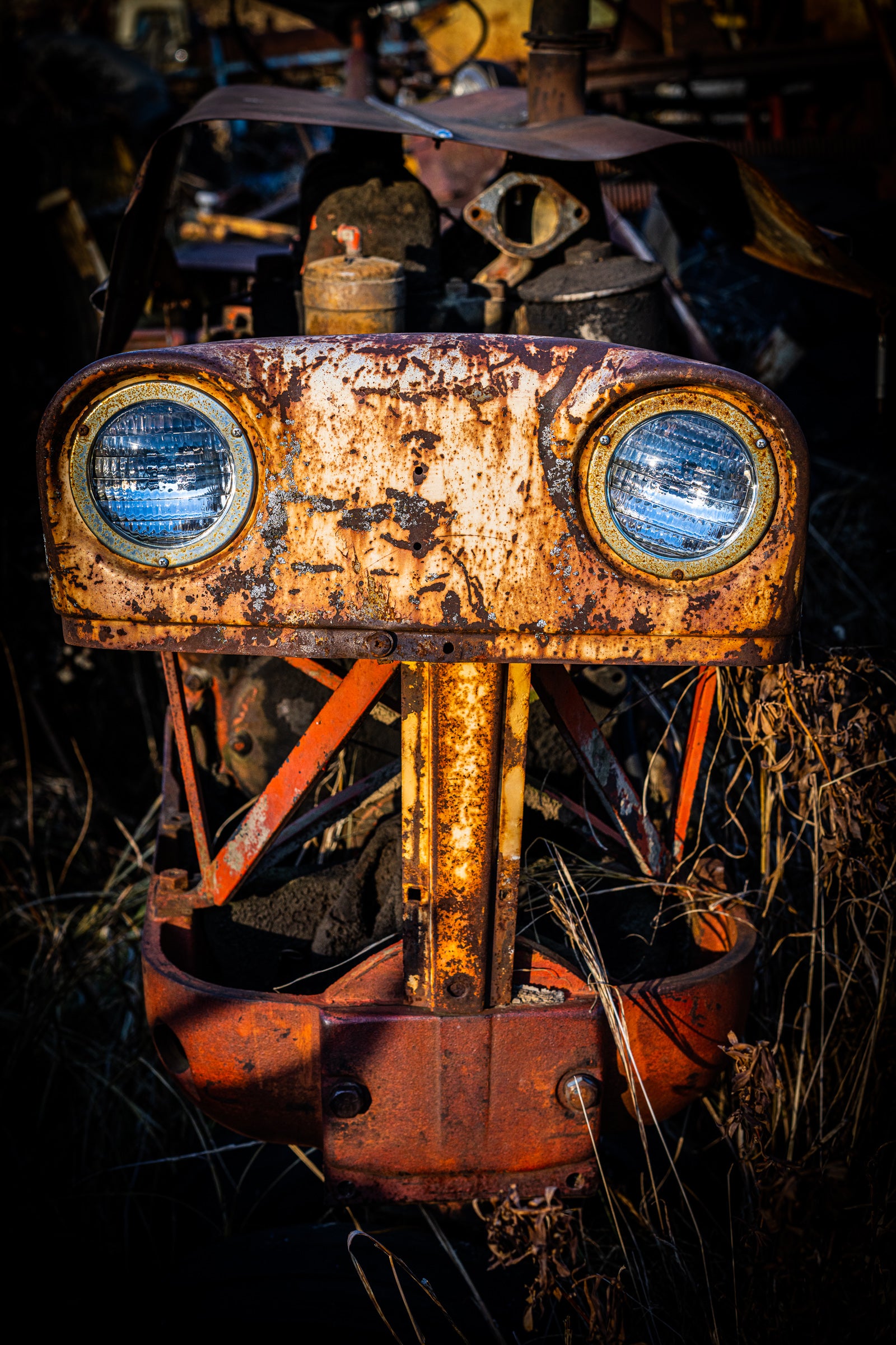 Rust-covered vehicle (perhaps the front-end of an old tractor) with two round lights that appear to be eyes; photographer Rick Graves