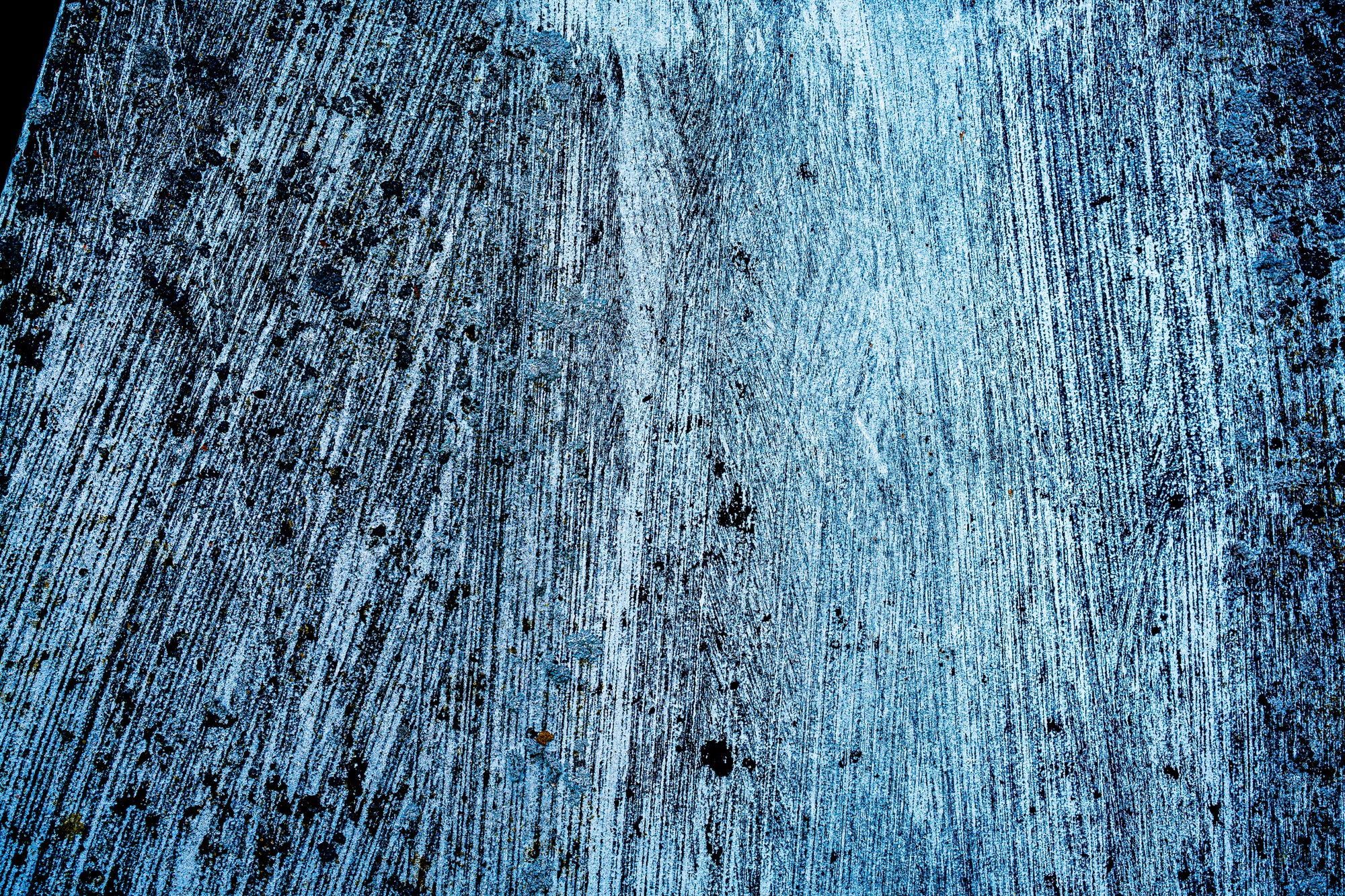 Textured blue surface with black specks; photographer Rick Graves