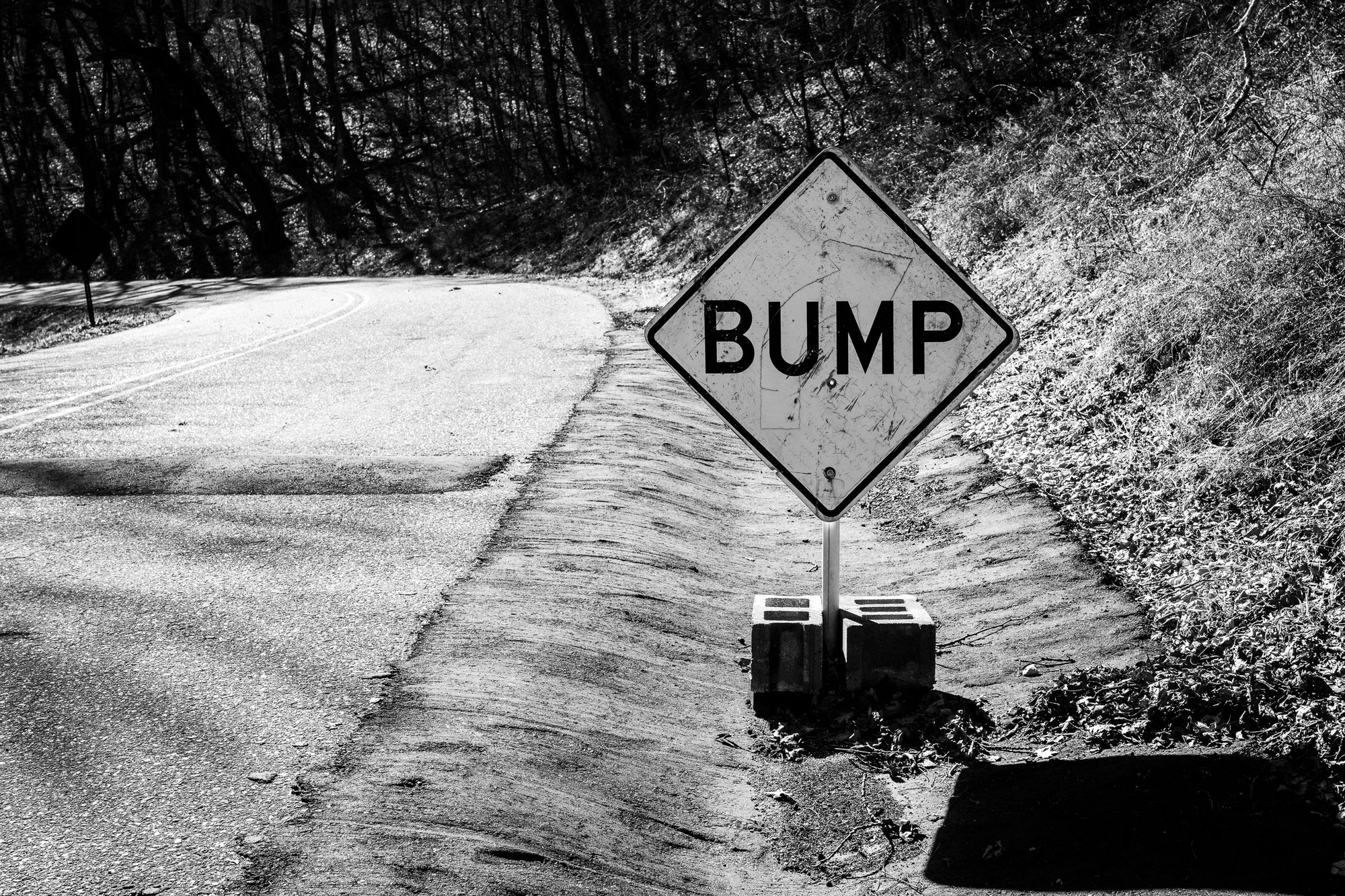 Road sign on a curving rural road warning of a BUMP immediately ahead; photographer Rick Graves
