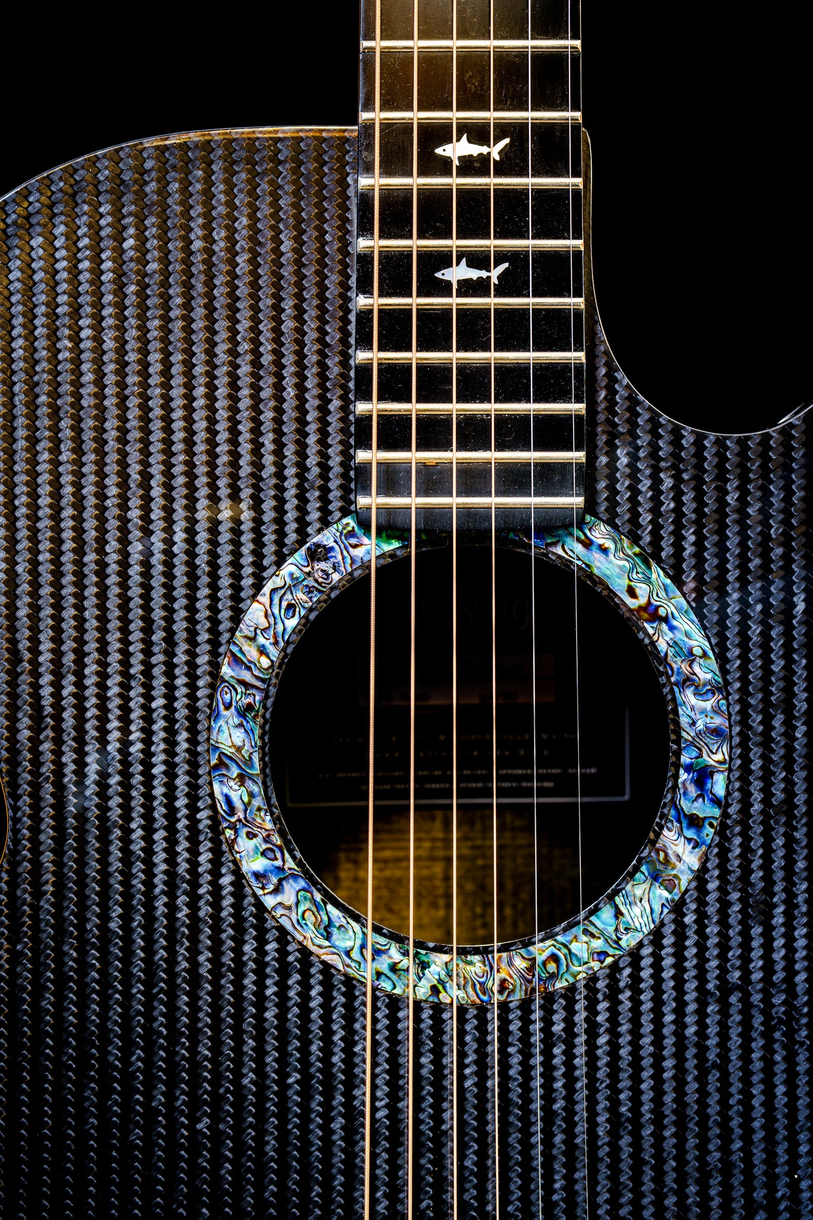 Close-up of a RainSong acoustic guitar with a decorative rosette on a black background; photographer Rick Graves
