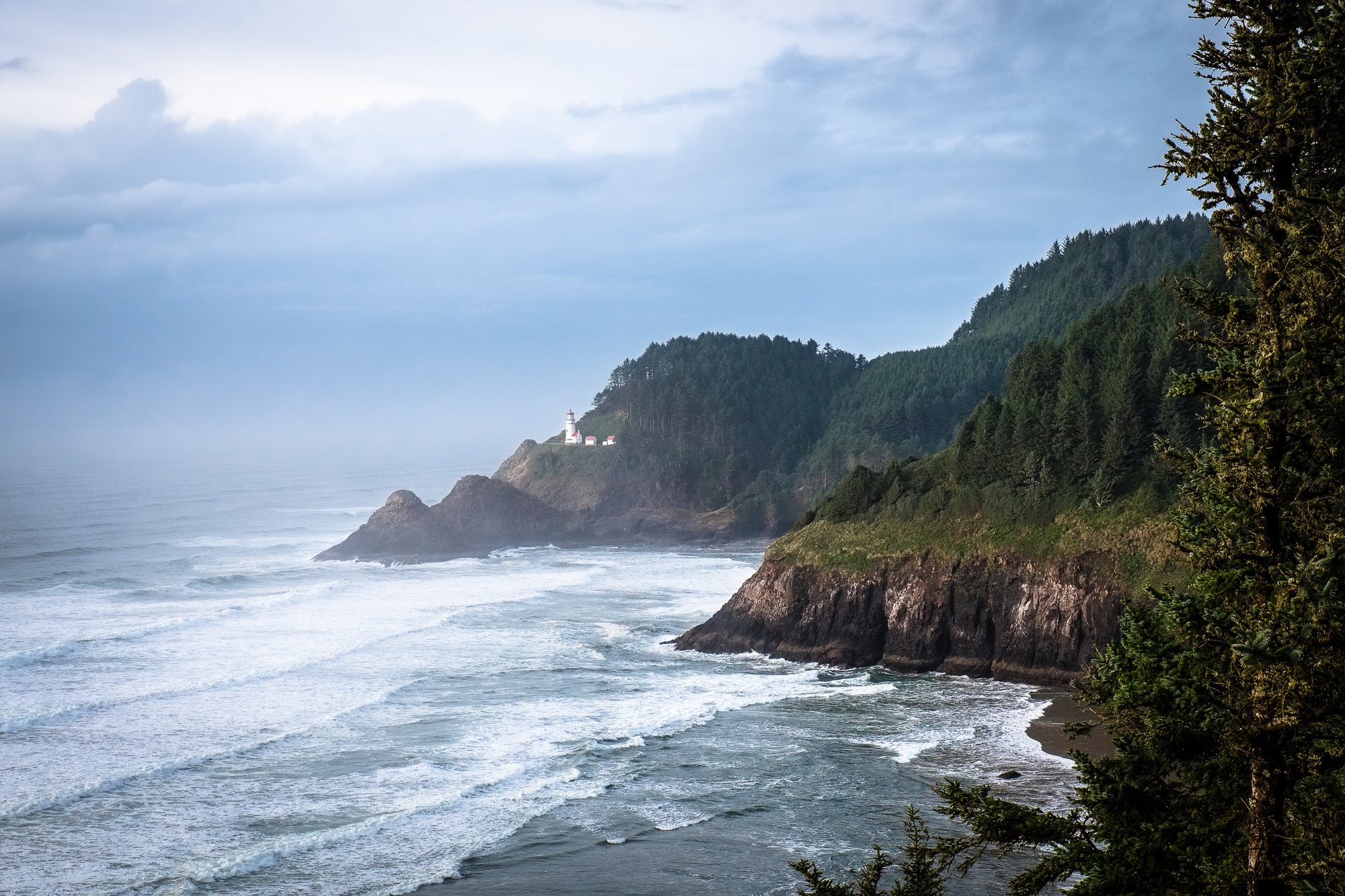 Coastal landscape with trees and cliffs overlooking the ocean and a lighthouse in the distance; photographer Rick Graves