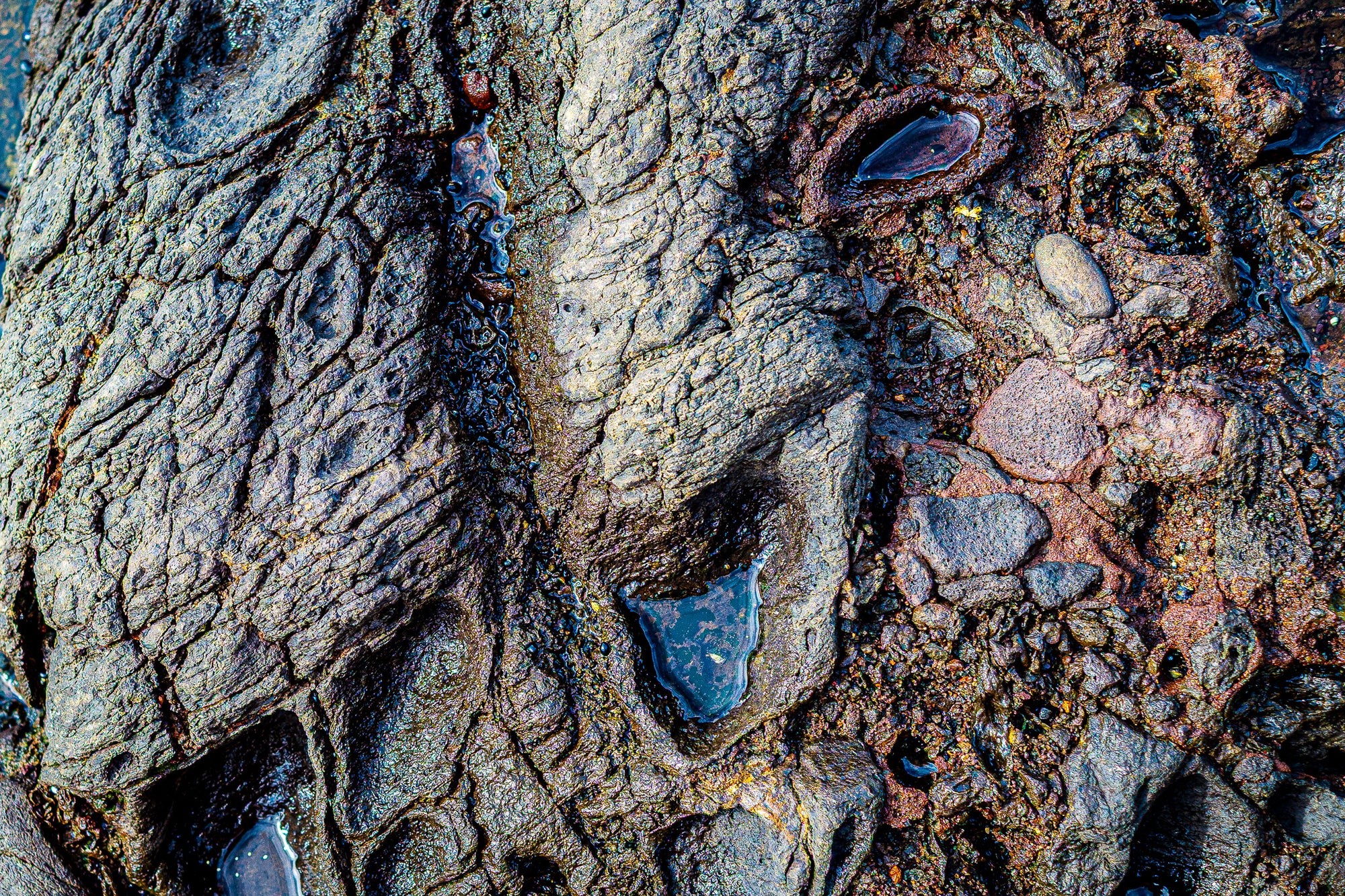 a color photo by Rick Graves of weather-worn rocks, stones, and pooling water 