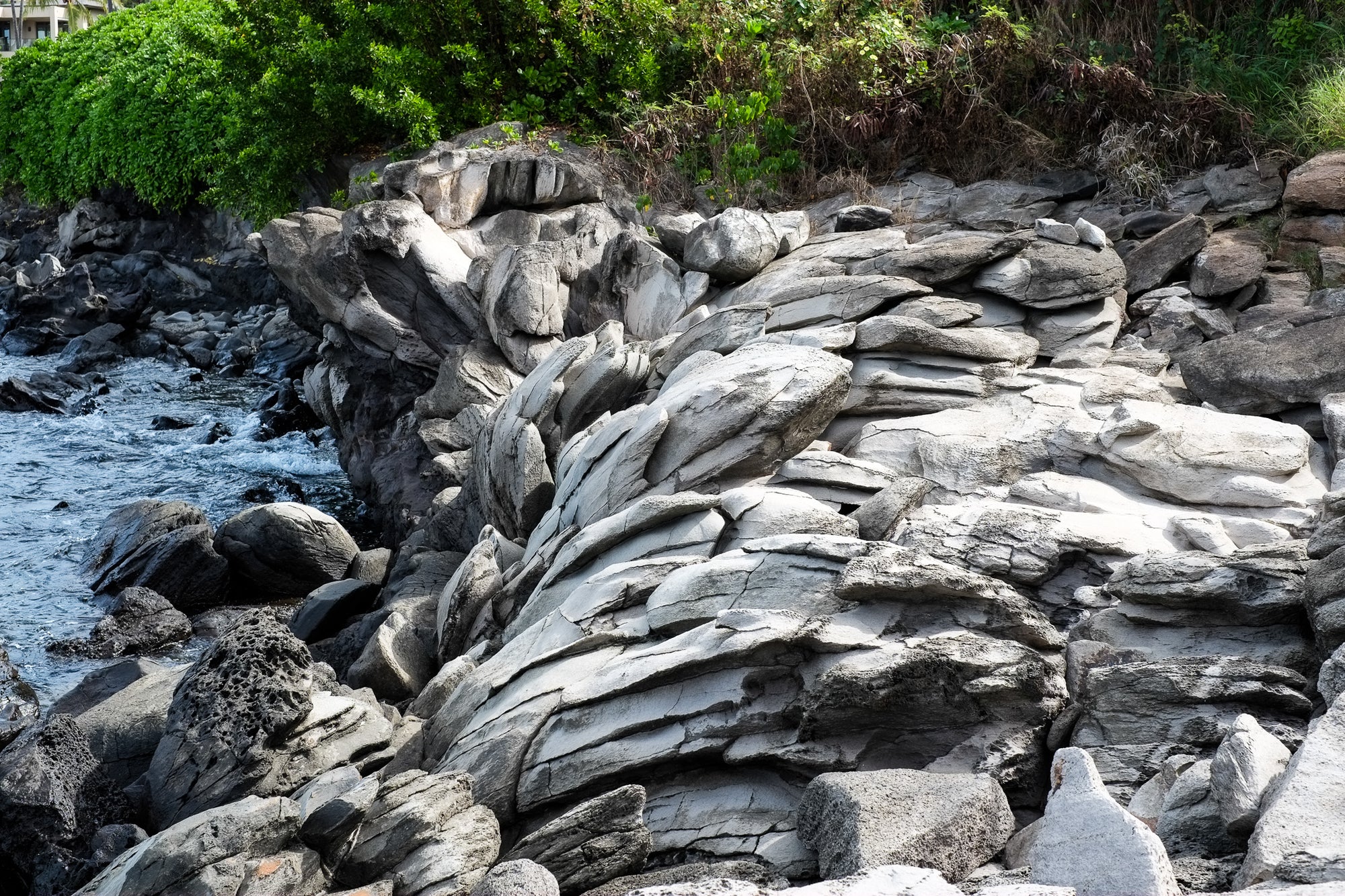 Rocks by a body of water with greenery in the background; photo by Rick Graves