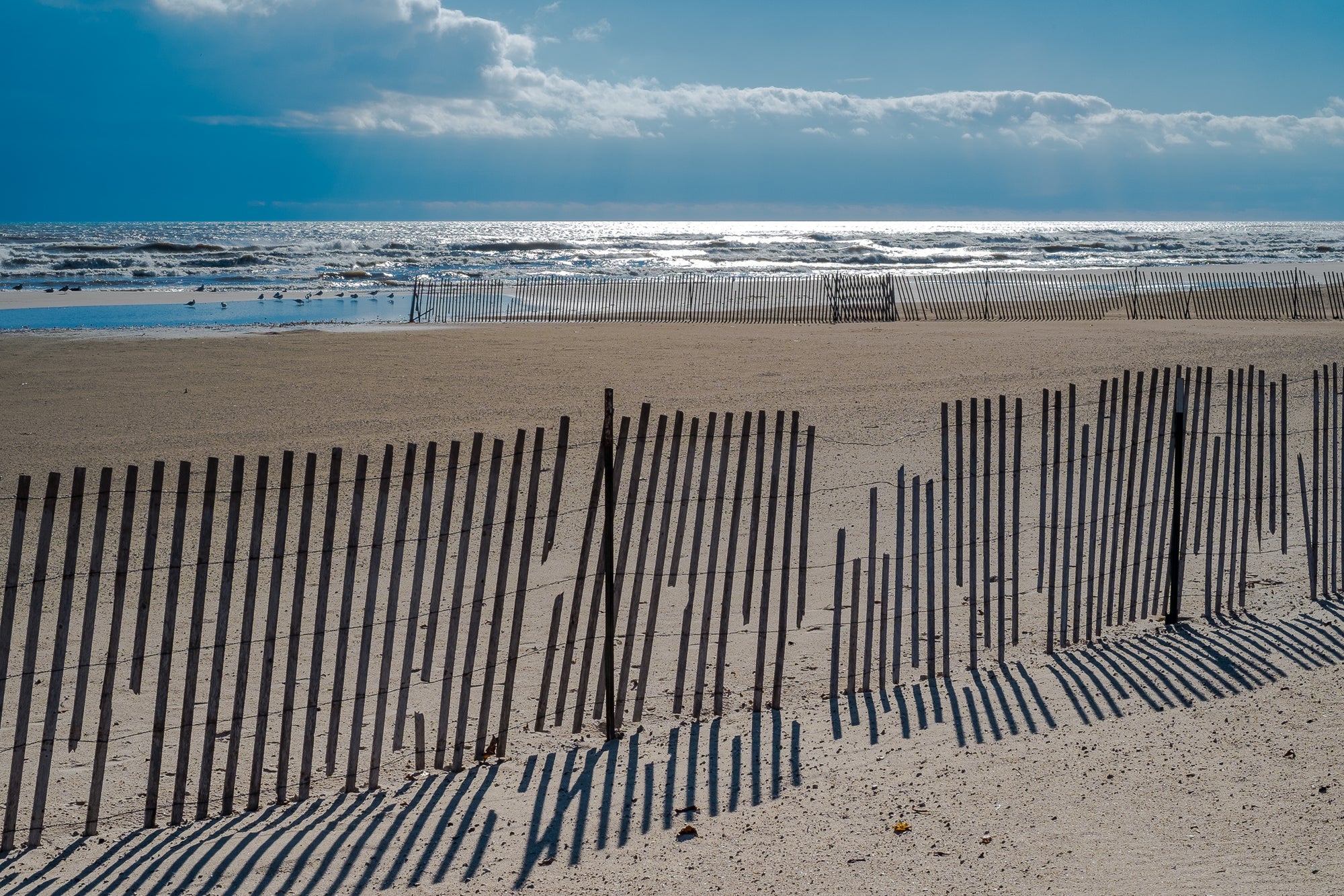 Lake Michigan shore with weathered snow fence casting shadows