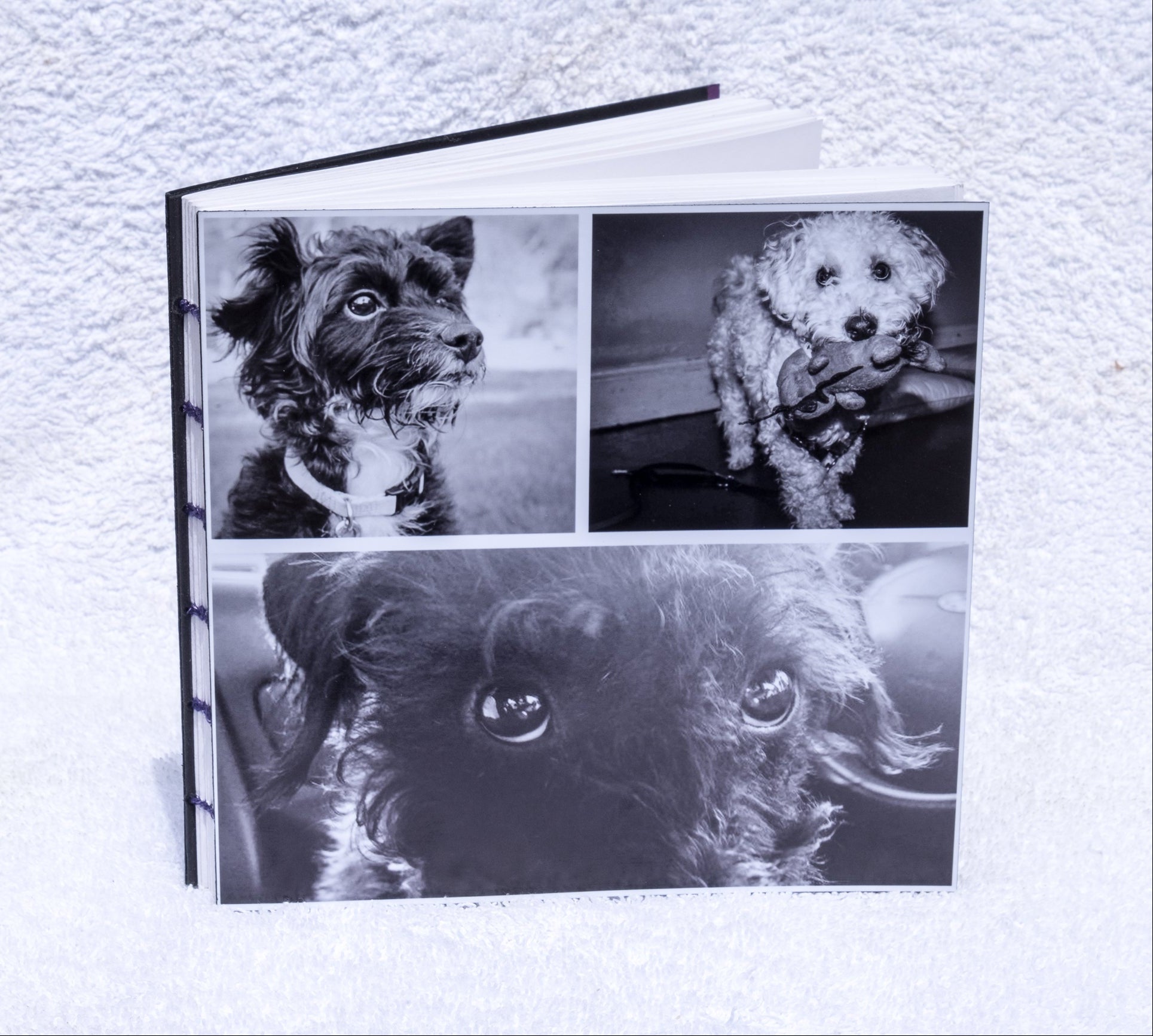 family photos