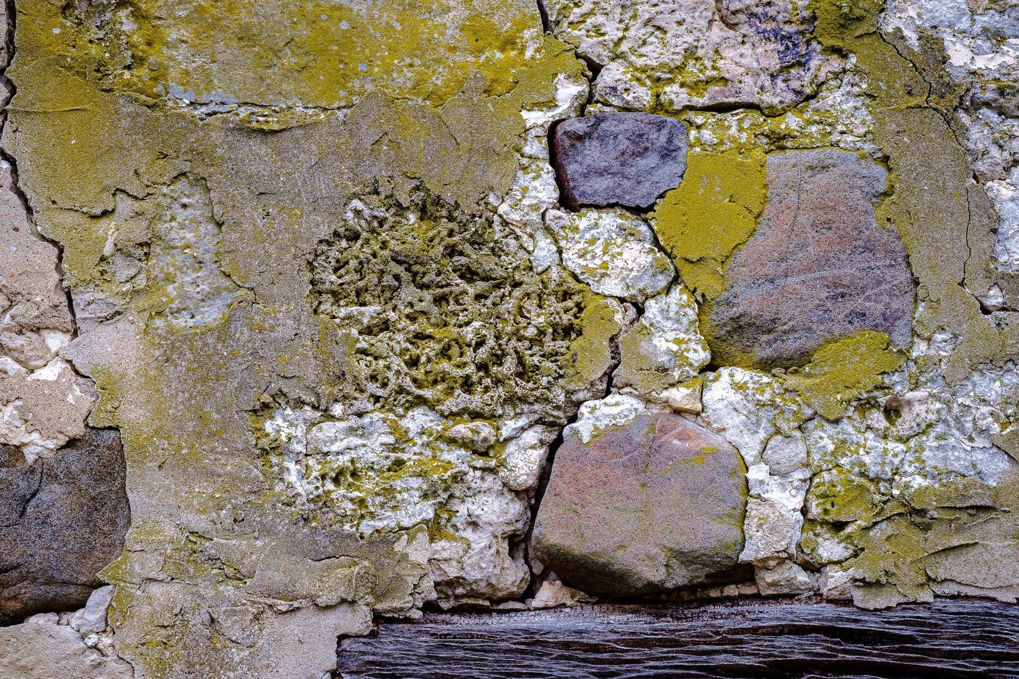 Close-up of a stone wall with lichen and moss