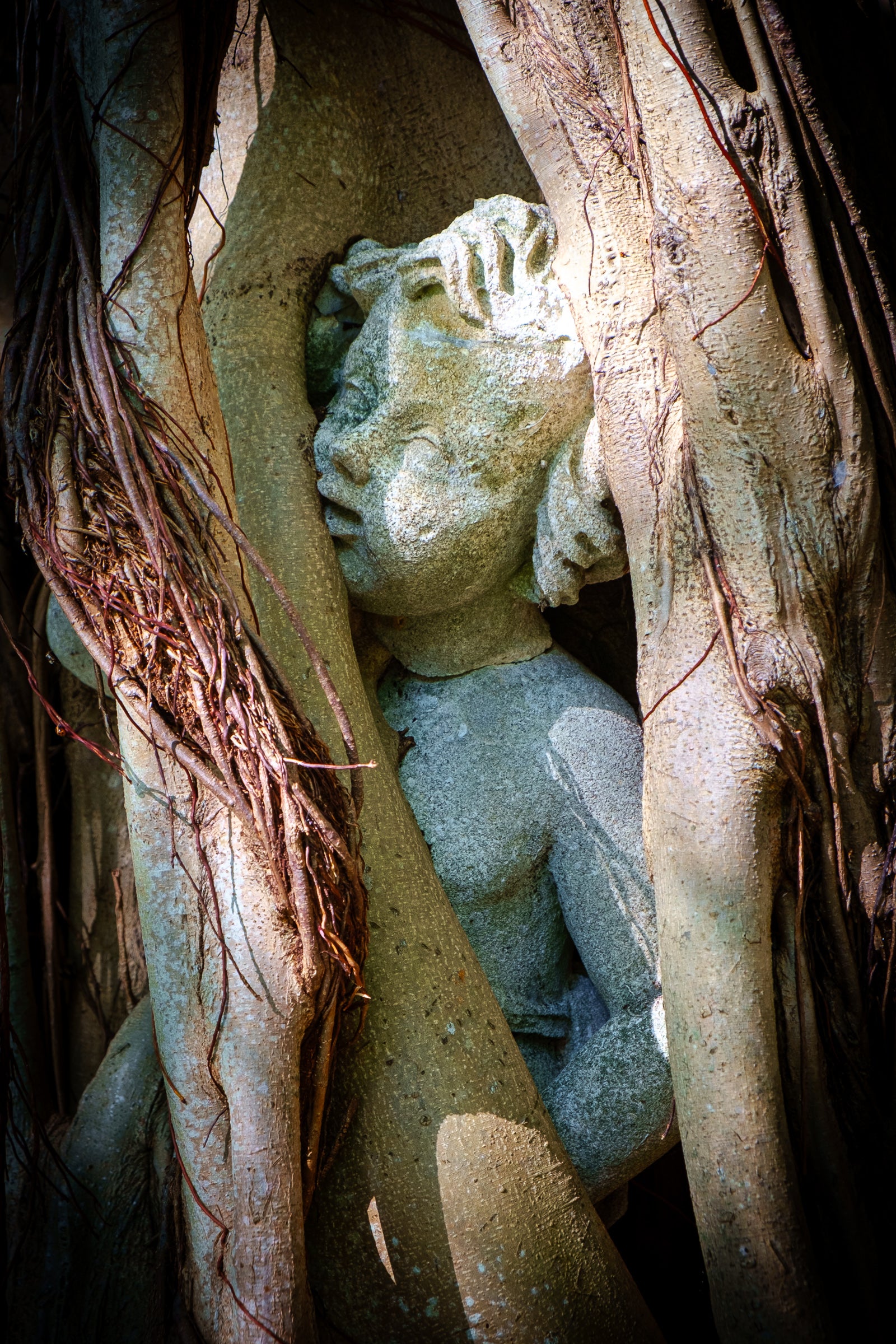 Stone sculpture of a child embraced by tree roots; photographer Rick Graves