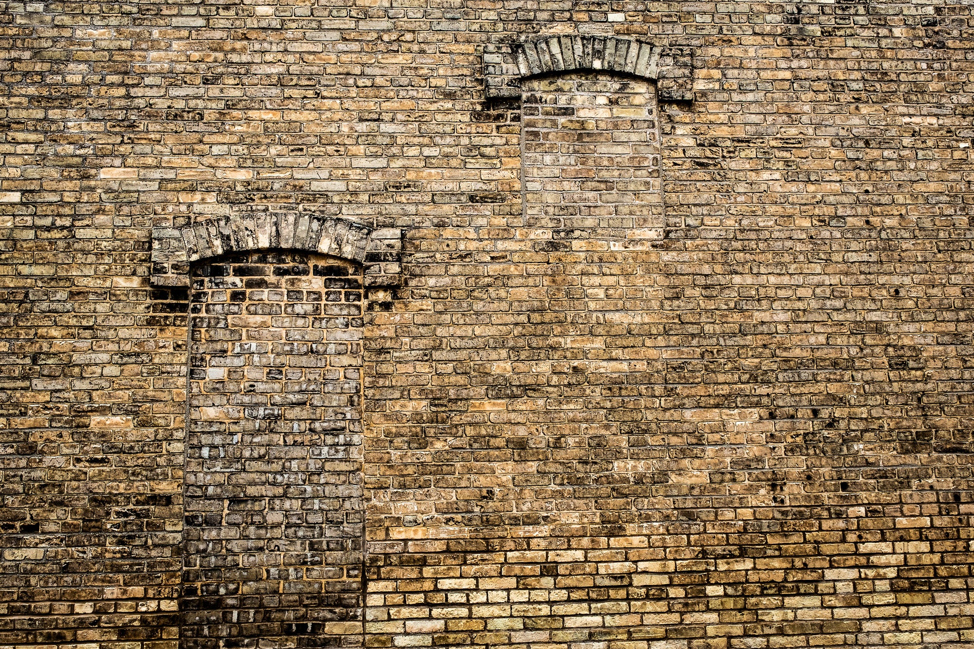 Tan brick wall with two arched window fenestrations filled in with similarly colored brick; photographer Rick Graves