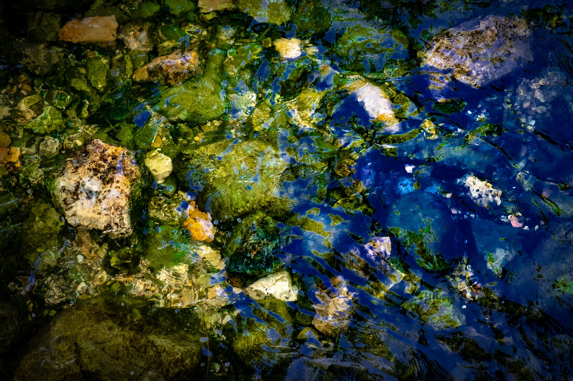 Close-up of colorful stones under water with a mix of green, blue, and brown hues. Photographer Rick Graves