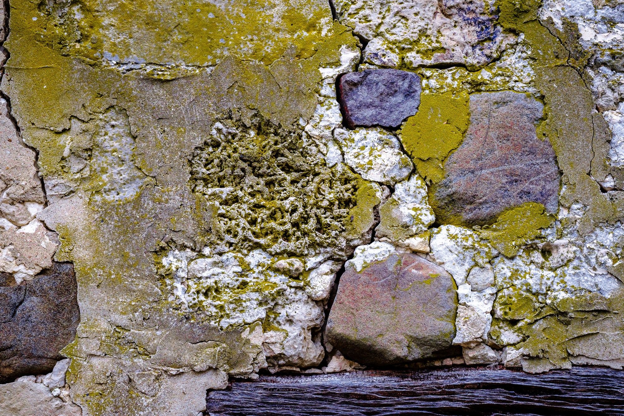 Close-up of a stone wall with lichen growth; photographer Rick Graves
