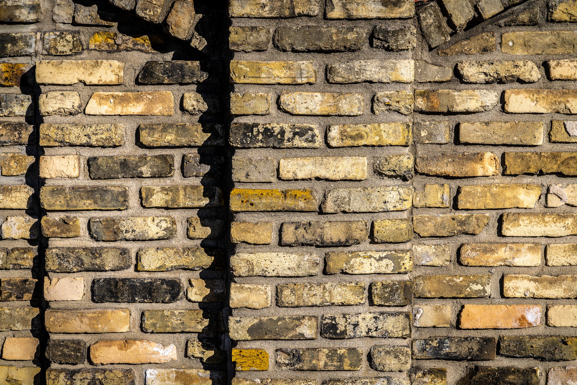 Close-up of a brick wall with a focus on texture and color variation; photographer Rick Graves