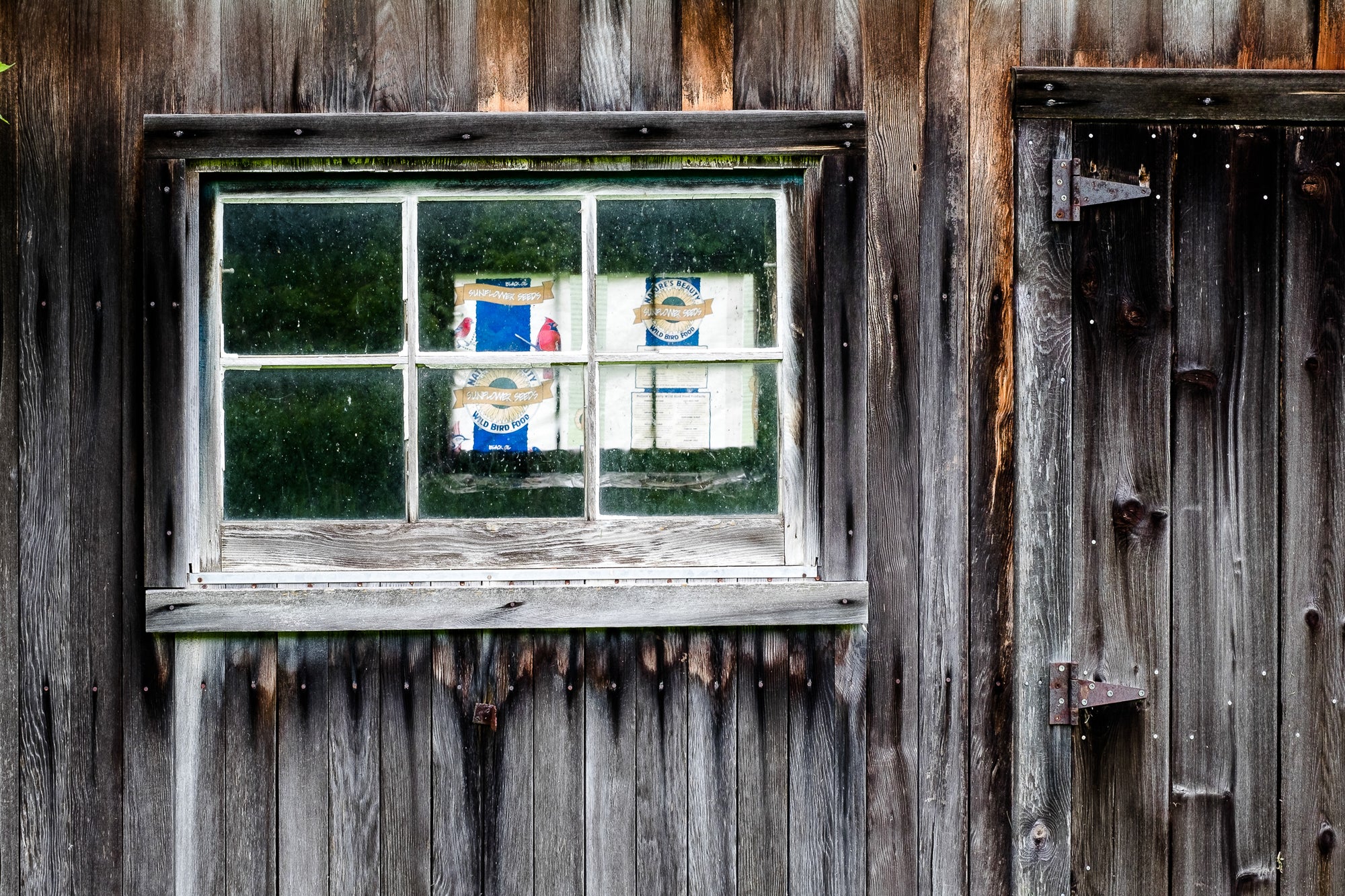 Old wood building with a "wild bird food" bag seemingly suspended behind a greenish six-pane window; photographer Rick Graves