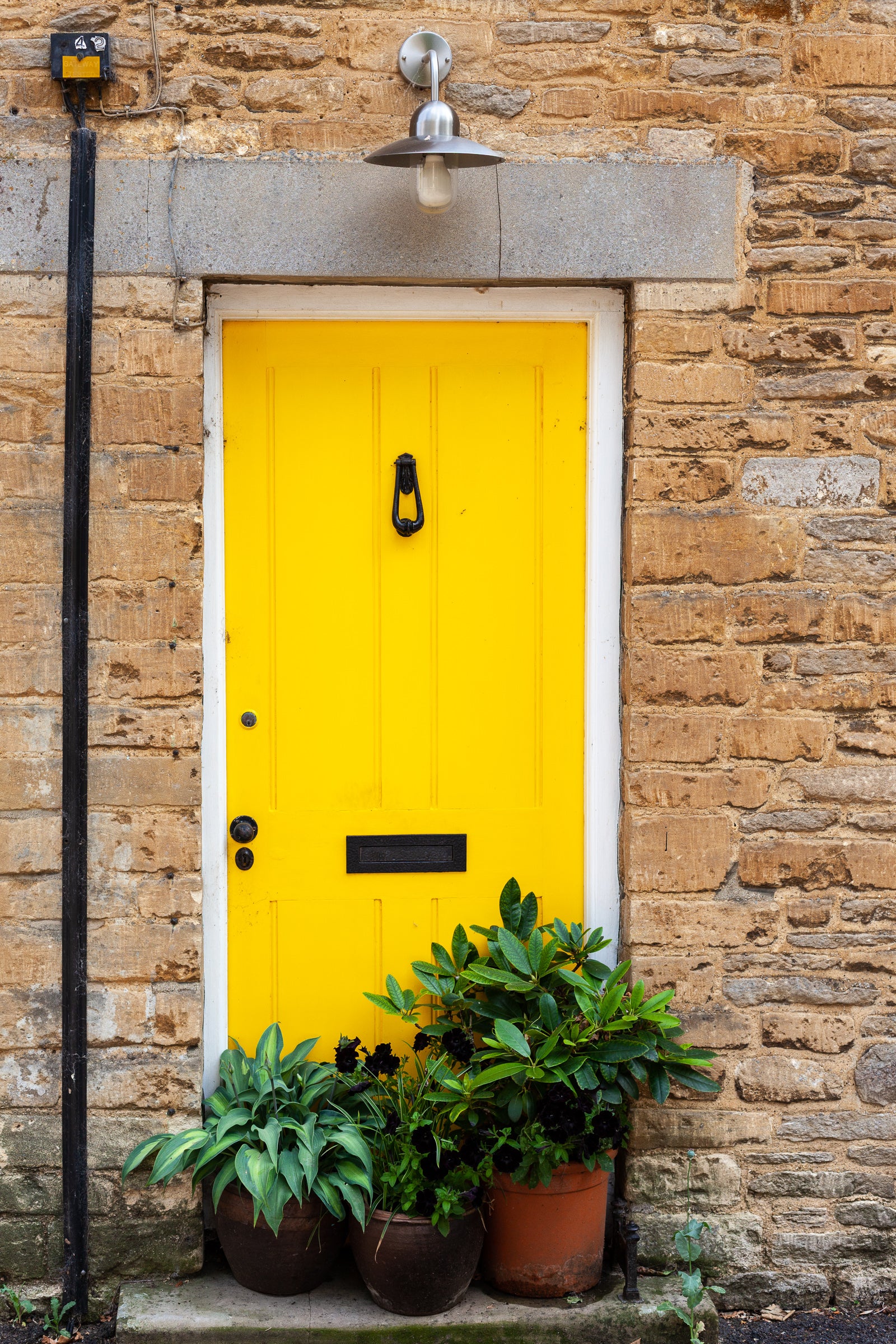 Yellow door with plants in an old brick wall; photographer Rick Graves