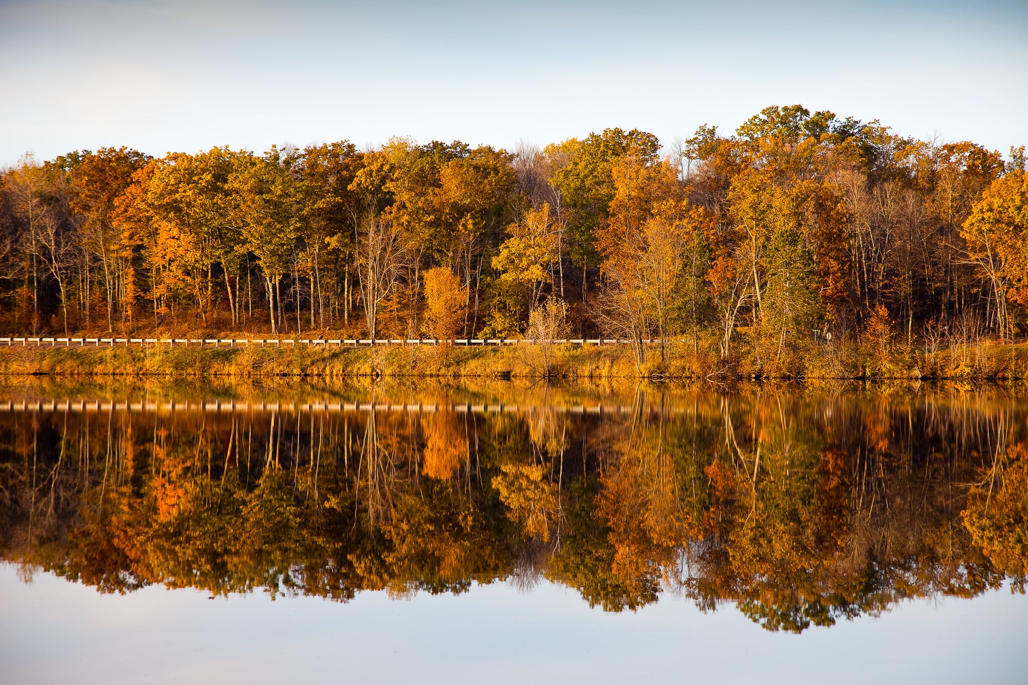 Autumn trees reflected in Old Abe Lake along the Chippewa River with a clear blue sky. Photographer Rick Graves