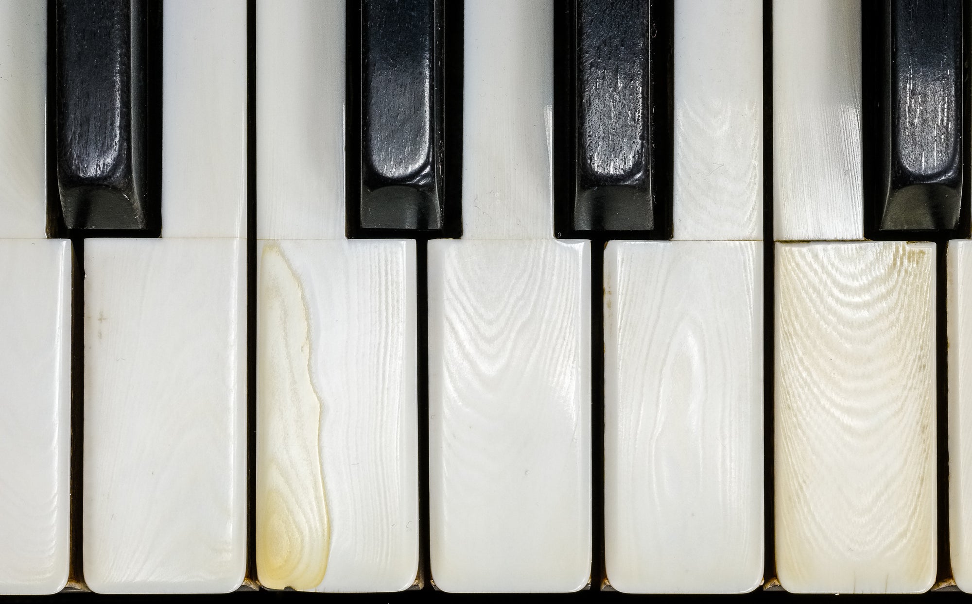 Photo by Rick Graves of 1912 AB Chase baby grand piano keys before restoration in 2015. Every print $25 plus shipping.
