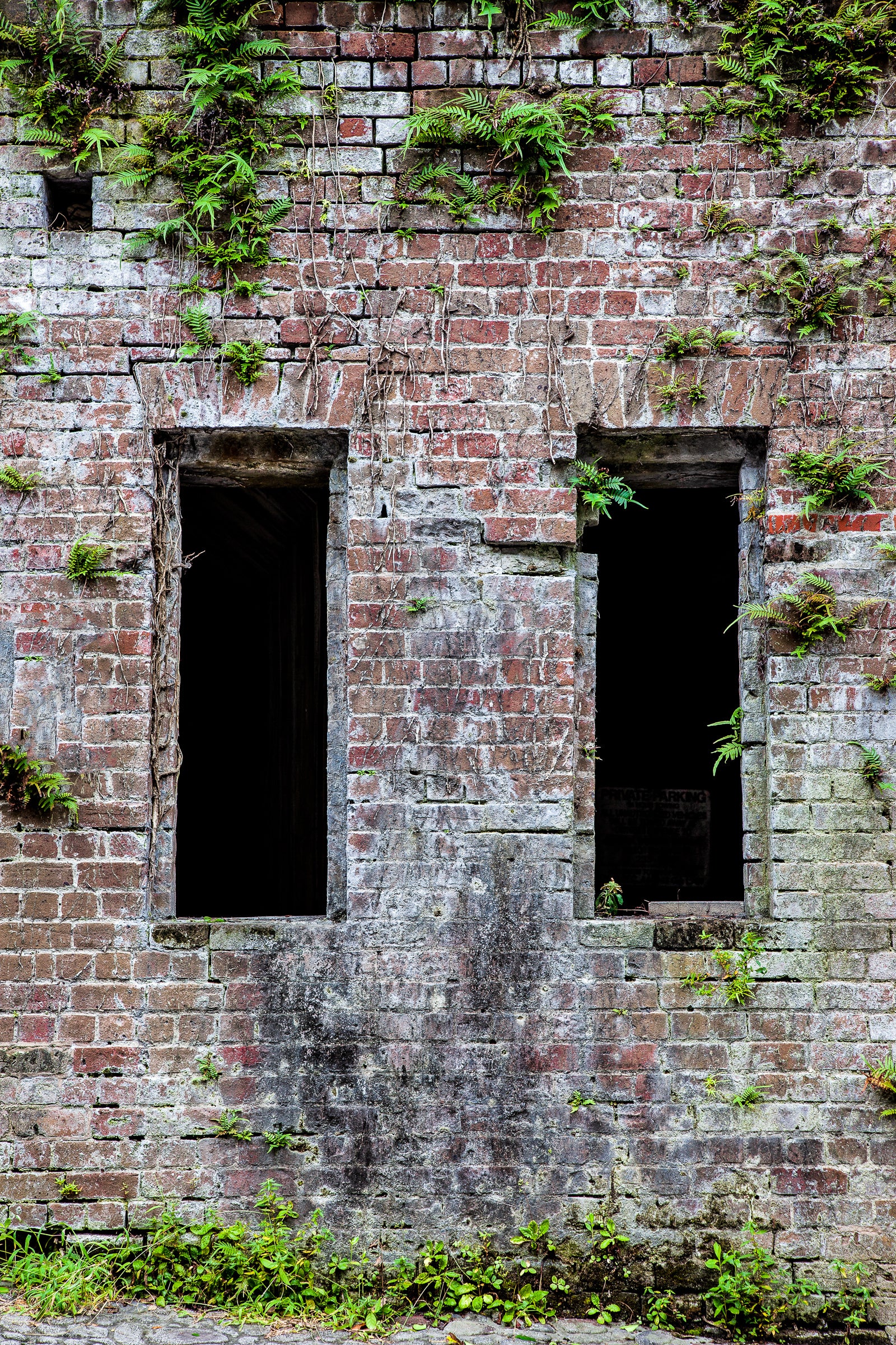 Overgrown brick wall with two window openings, sans windows; photographer Rick Graves